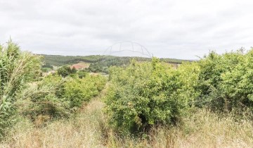 Maison 2 Chambres à Vimeiro