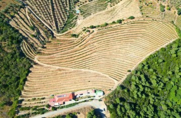 Moradia 7 Quartos em Provesende, Gouvães Douro, S.Cristóvão Douro