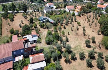 Maison 1 Chambre à Figueiró dos Vinhos e Bairradas