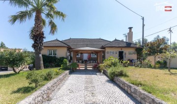 Maison 3 Chambres à São Mamede