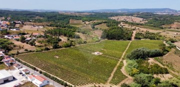 Terreno em Abrigada e Cabanas de Torres