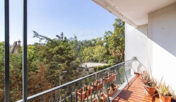 Apartment 1 Bedroom in Carcavelos e Parede