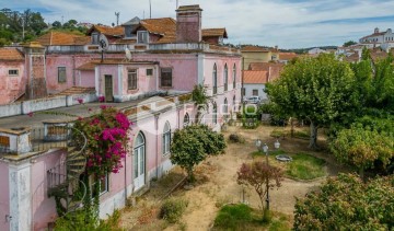 Maison 10 Chambres à Chamusca e Pinheiro Grande