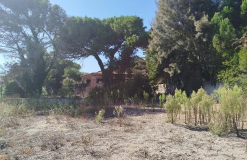 House  in São Pedro