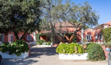 Maison 6 Chambres à Santo Estevão