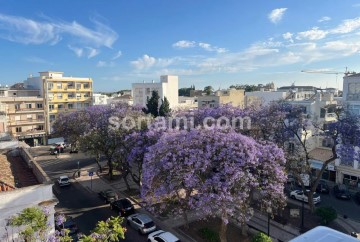 Loja em Faro (Sé e São Pedro)