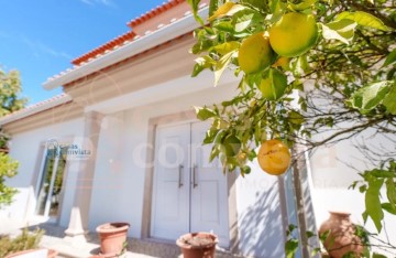 House 3 Bedrooms in Nossa Senhora da Piedade