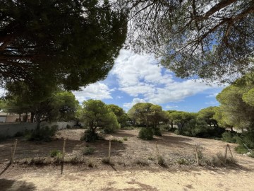 Casas rústicas en La Frontera