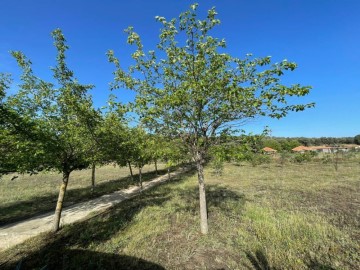 Maisons de campagne à Malpartida