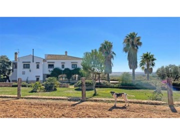 Country homes 6 Bedrooms in Chucena