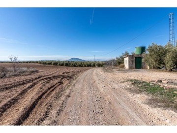 Casas rústicas en Cogollos de la Vega