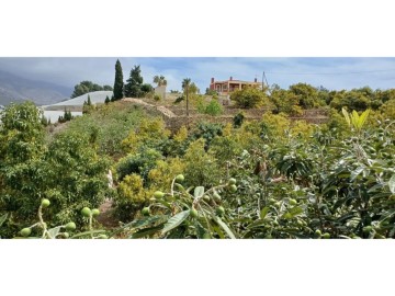Casas rústicas 3 Habitaciones en Callosa d'En Sarrià