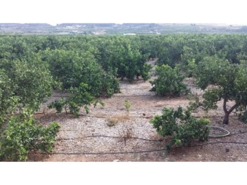 Quintas e casas rústicas 3 Quartos em Montroy