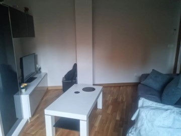 Apartamento 1 Quarto em Palmera