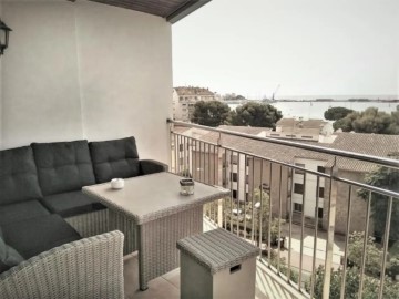 Apartment 1 Bedroom in Puig Ses Forques-Torre Colomina