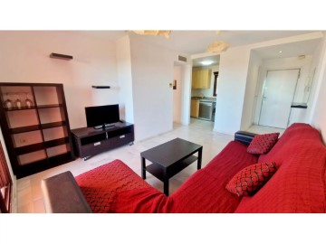 Apartamento 1 Quarto em Hipódromo-Cerrado del Águila