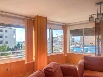 Apartamento 1 Quarto em Los Arenales