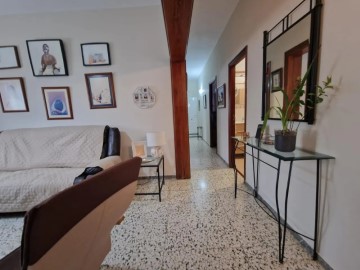 Apartment 4 Bedrooms in Cristóbal