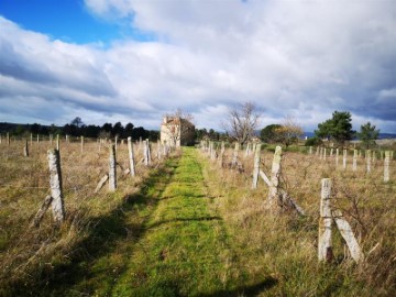 Quintas e casas rústicas em Vila Cortes da Serra