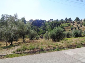 Land in Santo António dos Olivais