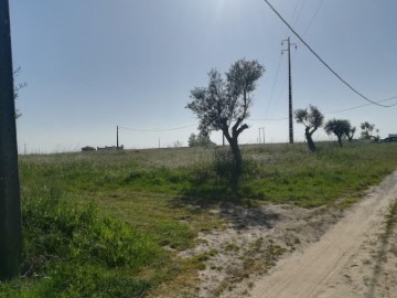 Terreno em Poceirão e Marateca