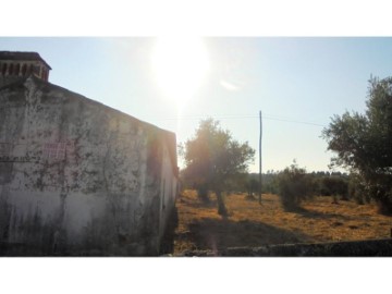 Terrenos en Abrantes (São Vicente e São João) e Alferrarede