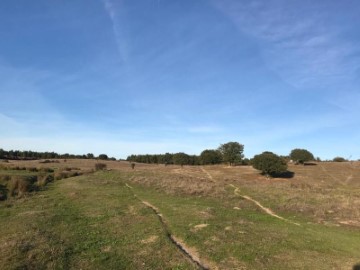 Maisons de campagne à Gáfete