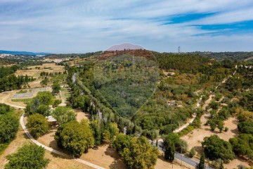 Terreno em Aveiras de Baixo