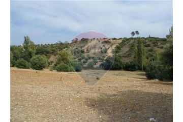 Terreno em Pedrógão