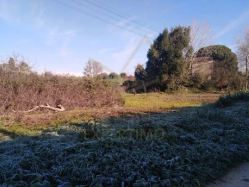 Terreno em Cidade de Santarém