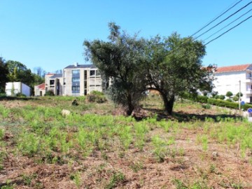 Terreno em São Pedro do Sul, Várzea e Baiões