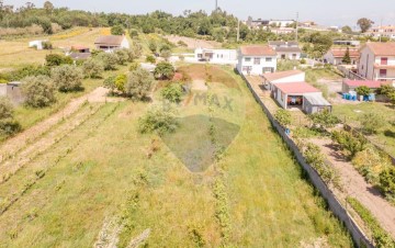 Terreno em São Martinho de Árvore e Lamarosa