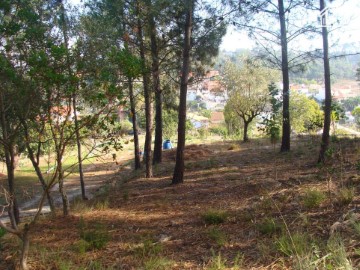 Terreno em Vale de Santarém