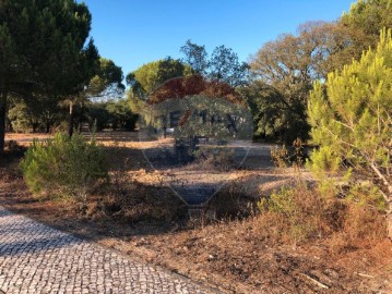 Terreno em Santo Estevão