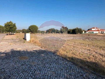 Terrenos en Santo Estevão