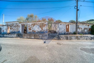 Maison 3 Chambres à Chamusca e Pinheiro Grande