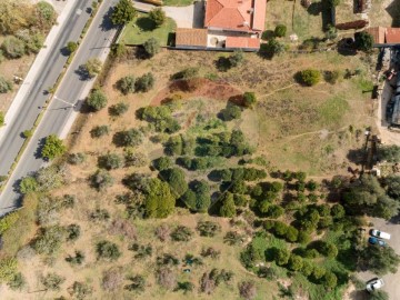 Land in Torres Novas (Santa Maria, Salvador e Santiago)