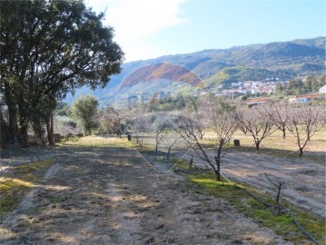 Quintas e casas rústicas em Vale de Prazeres e Mata da Rainha