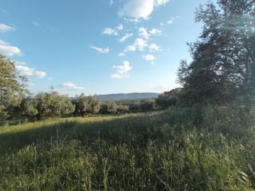 Maisons de campagne 1 Chambre à Penamacor