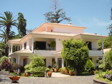 Quintas e casas rústicas 6 Quartos em Santo António