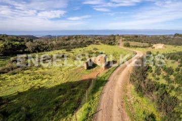 Terreno em Bordeira