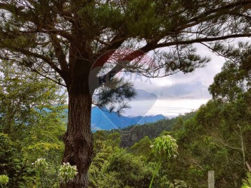 Terreno em Santo António da Serra