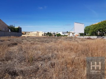 Terreno em Porto Santo