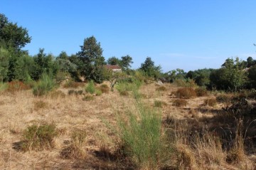 Terreno em Covas e Vila Nova de Oliveirinha