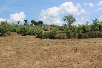 Terreno em Covas e Vila Nova de Oliveirinha