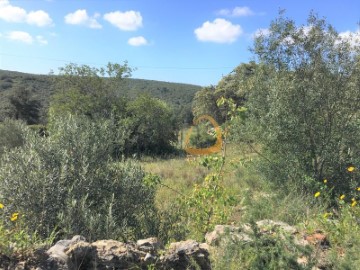 Terreno em São Clemente