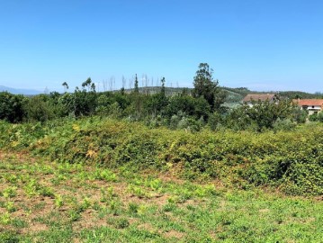 Terreno em Mortágua, Vale de Remígio, Cortegaça e Almaça