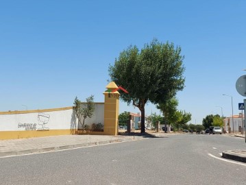 Terre à Ferreira do Alentejo e Canhestros