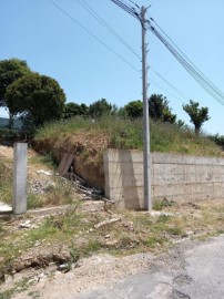 Terreno em Nogueira do Cravo e Pindelo