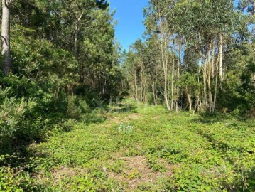 Terreno em Labruge